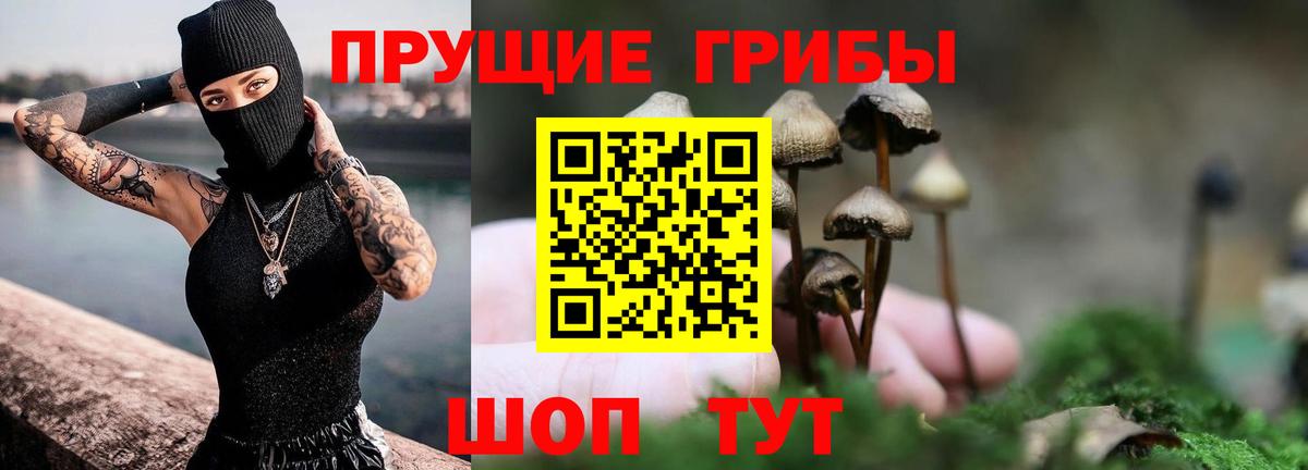 Псилоцибиновые грибы MAGIC MUSHROOMS  Вход с VPN  Муром  Псилоцибиновые грибы GOLDEN TEACHER 